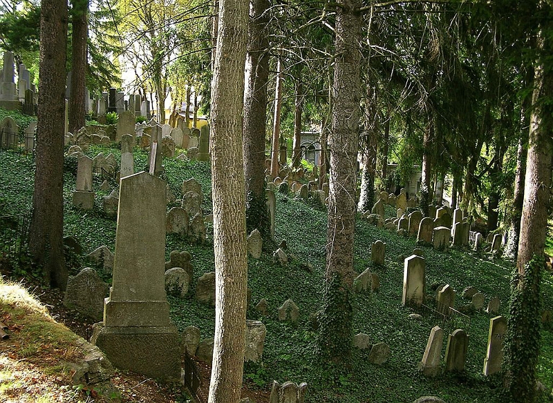 židovský cintorín v Třebíči.jpg